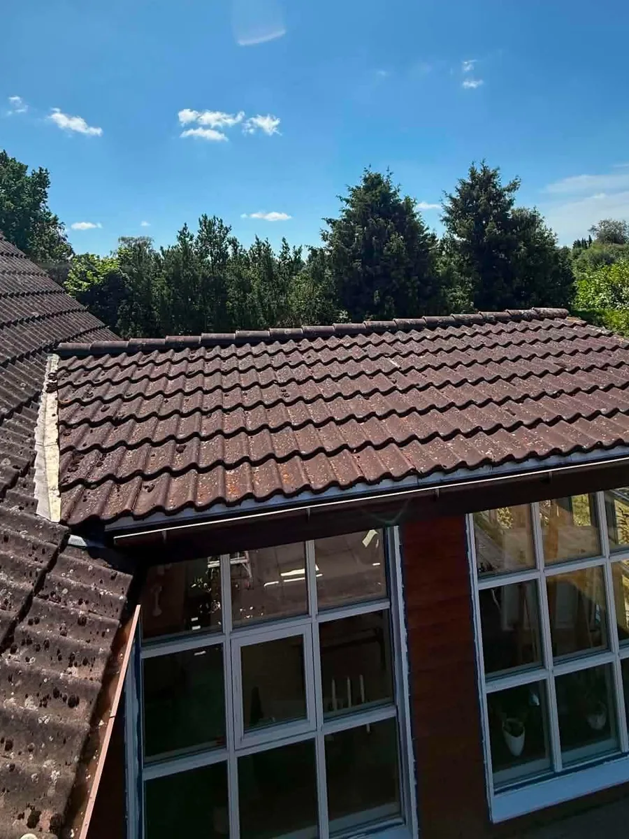 Udestue på hus i Strøby Egede før opgaven: tagstenene er brune og dækket af hvide lavpletter, med hvide sprossede vinduer og rødbrun træbeklædning nedenunder